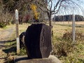 20131126_070