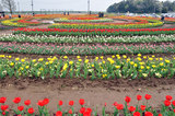 20100419_060