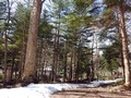 20170410-040