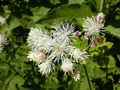 P7220410
