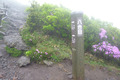 20130603_127
