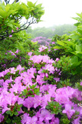 20130603_116