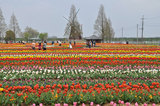 20100419_044