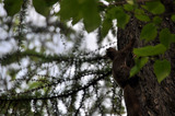 20110612_150