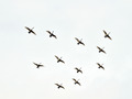 20140203_327