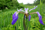 20110626_092