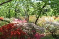 20130428_015