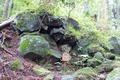 20130602_096