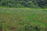 20110626_122