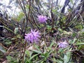 20130709__050