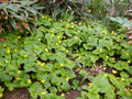 20130709__070