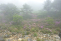 20130603_067