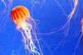 20130605_067