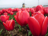 20100413_057