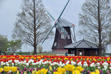 20100419_082