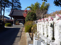 20131126_109