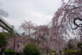 20130323_084
