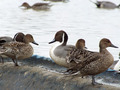 20140203_140
