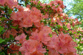 20130428_039
