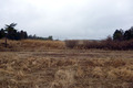 20120318_066
