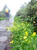 20130709__042