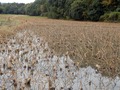 20131111_189