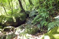 20130604_107