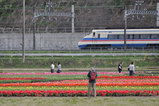 20100413_082