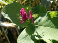 P7220406
