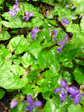 20130709__051