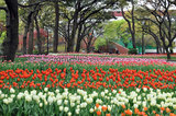 20100414_025