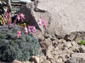 P7220432