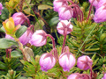 P7200081