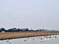 20140203_299