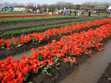 20100413_030