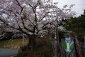 20120422_038