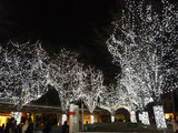 20091225_037