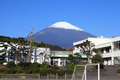 BG19