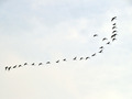 20140203_367