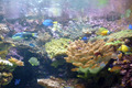20130605_035