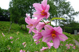 20110626_045