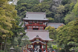 20100414_060