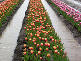 20100413_023
