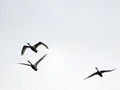 20140203_015