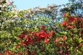 20130428_051