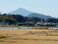 20131120_177