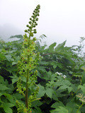 20130710_060