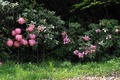 20120428_101