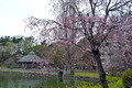 20130323_075