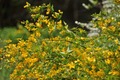 20120428_104